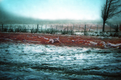 Venus-Rising_TanishaBhana.com